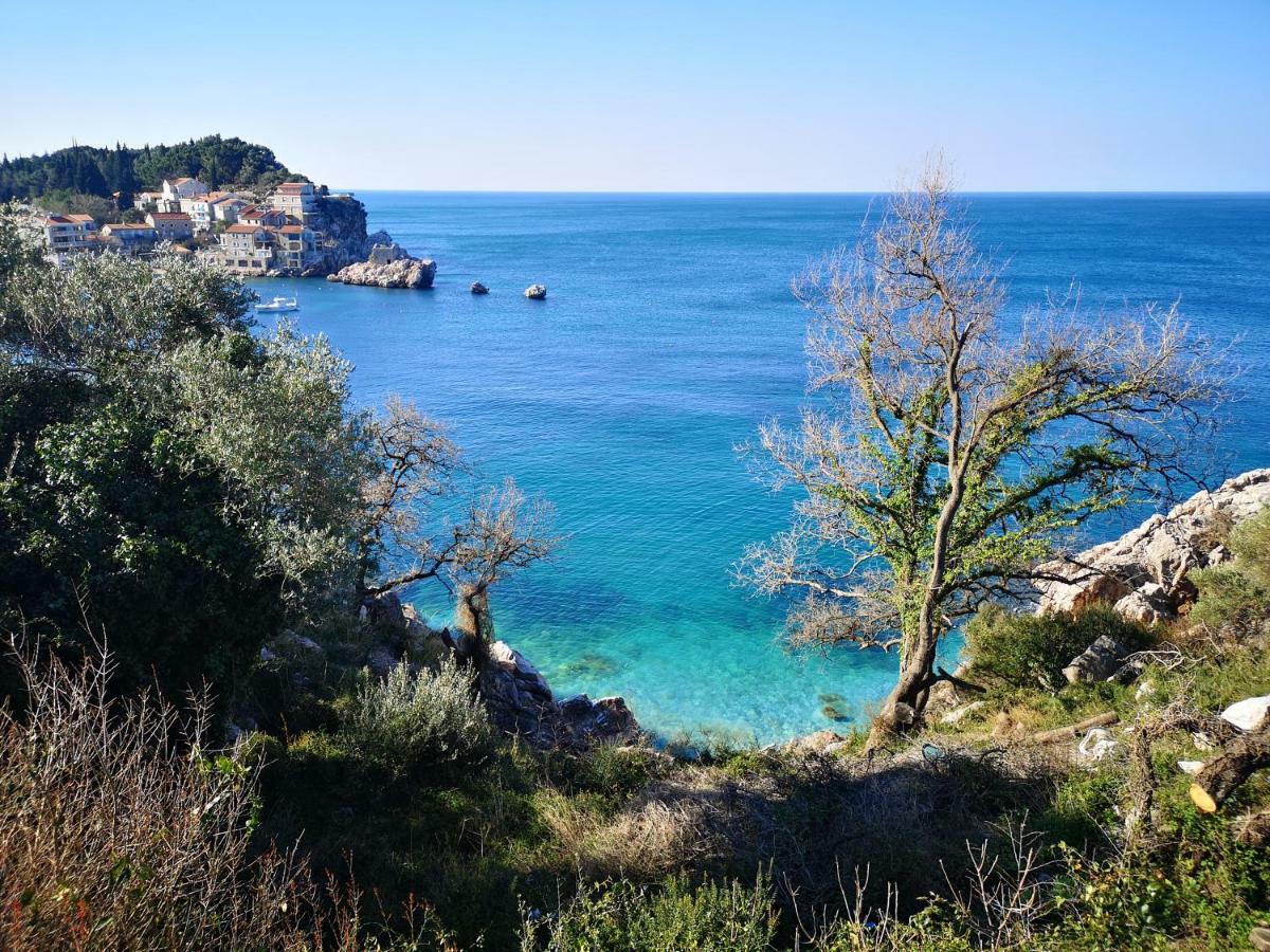 Ferienwohnung Langust - Free Parking Sveti Stefan Exterior foto