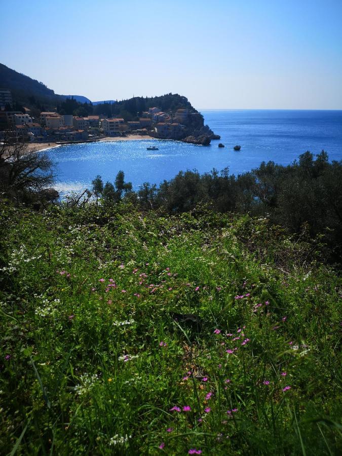 Ferienwohnung Langust - Free Parking Sveti Stefan Exterior foto